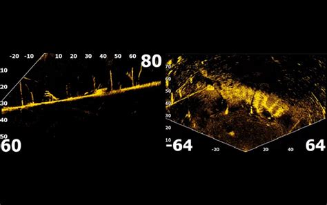 Image result for Lowrance Live View