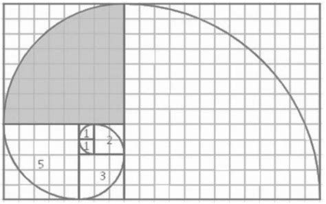 Image result for Number Patterns Fibonacci