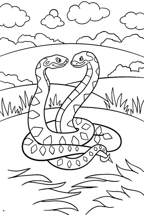Australian Python Colouring In に対する画像結果