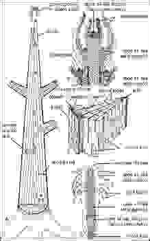 Toradh íomhá ar Spruce Tree Root System