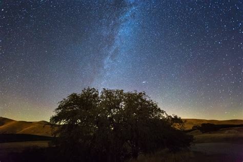 Afbeeldingsresultaten voor Object Humans