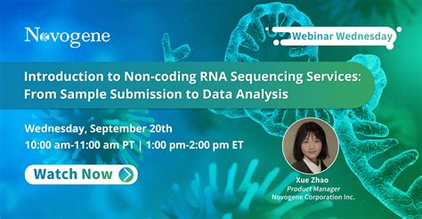 Toradh íomhá ar Non-Coding