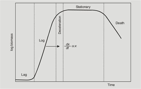 Image result for Growth Kinetics Graph