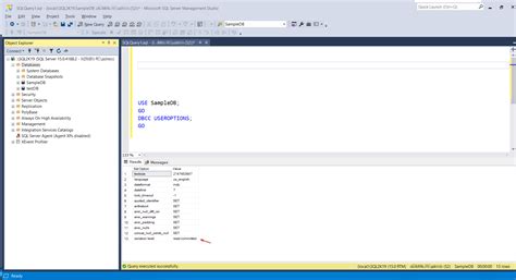 Image result for SQL Display Isolation Level