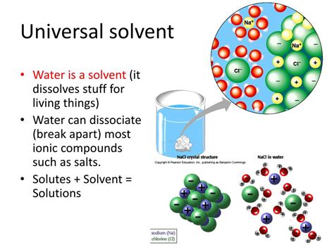 solvent に対する画像結果