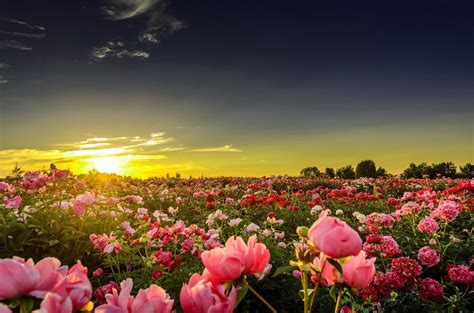 Image result for Descargar Imagenes Para Pantalla