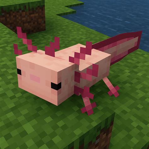 Afbeeldingsresultaten voor Rarest Axolotl Minecraft