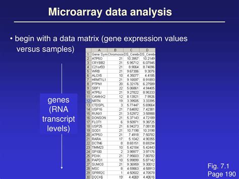 PPT - Gene expression: Microarray data analysis PowerPoint Presentation ...
