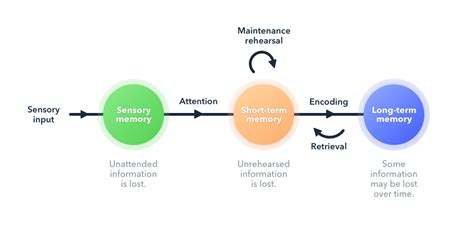 Toradh íomhá ar Short-Term Memory Converted to Long-Term Memory