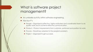 Image result for Software Project Management Concepts