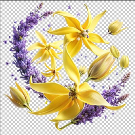 Toradh íomhá ar Exploding Star Photoshop PSD