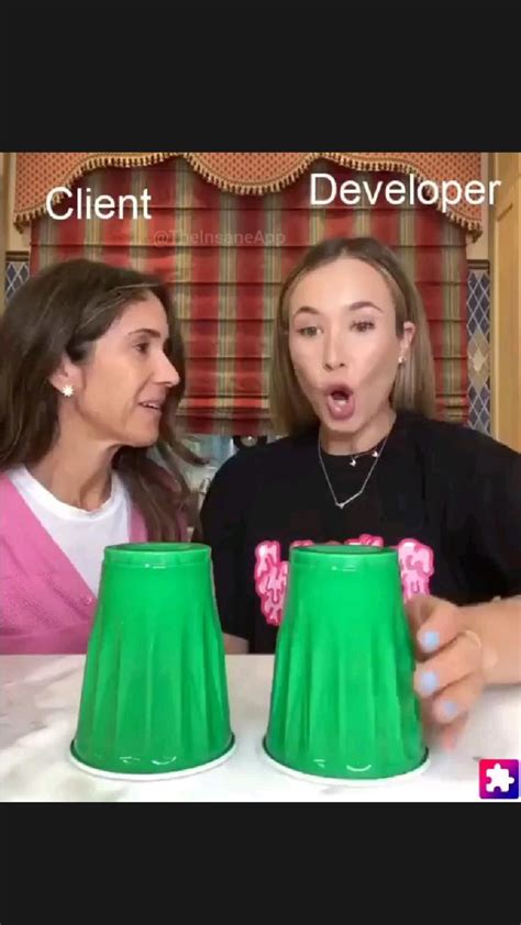 Image result for Client vs Developer