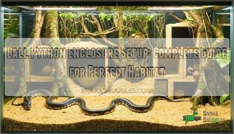 Image result for Ball Python Setup and Care