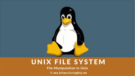 نتيجة الصورة لـ Unix File System Command