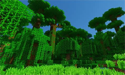 Toradh íomhá ar Jungle Seeds Minecraft Java