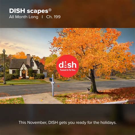 Image result for DishTV Scapes