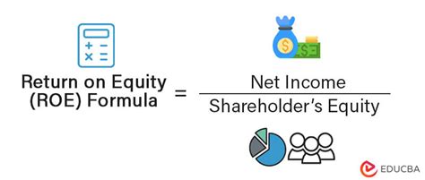 Return On Equity Example に対する画像結果