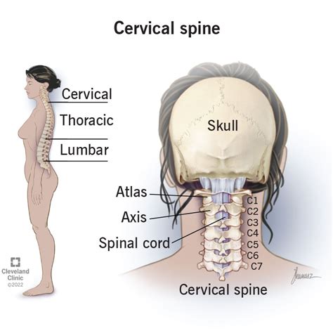 Image result for Cervical Movement Control Test