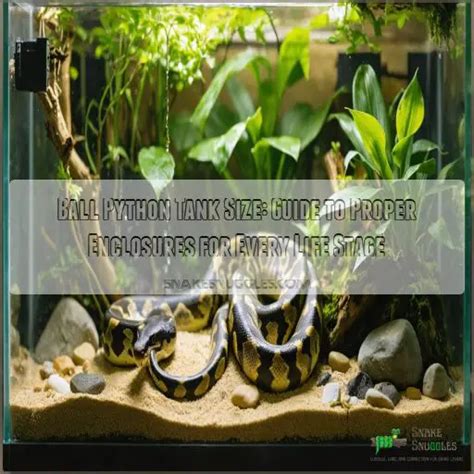 Simple Ball Python Tank Setup Ideas に対する画像結果