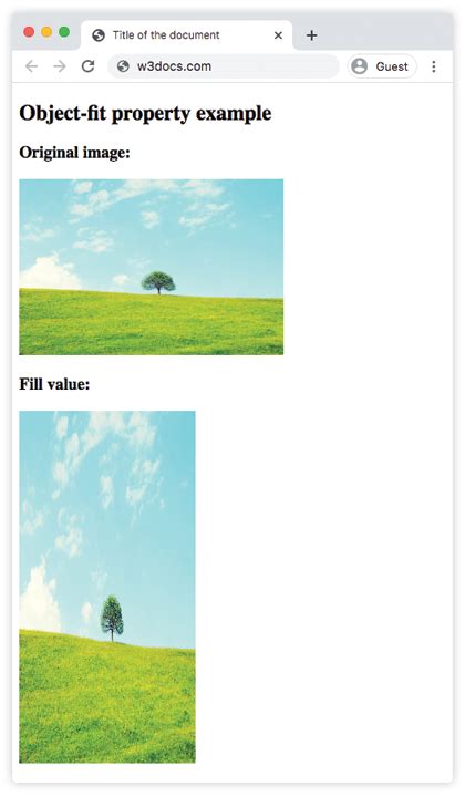 Image result for HTML Contain Cover