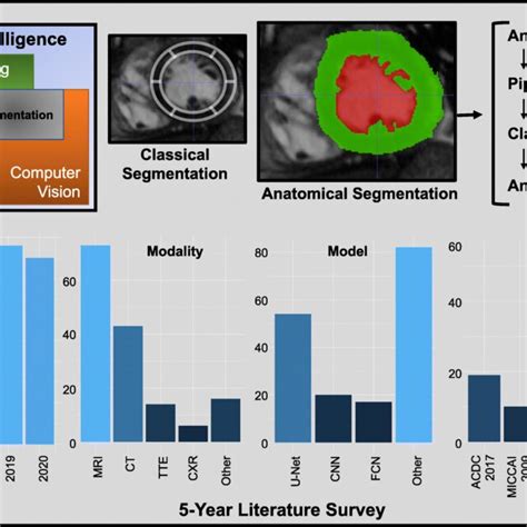 Image result for Computer Vision Semantic Segmentation