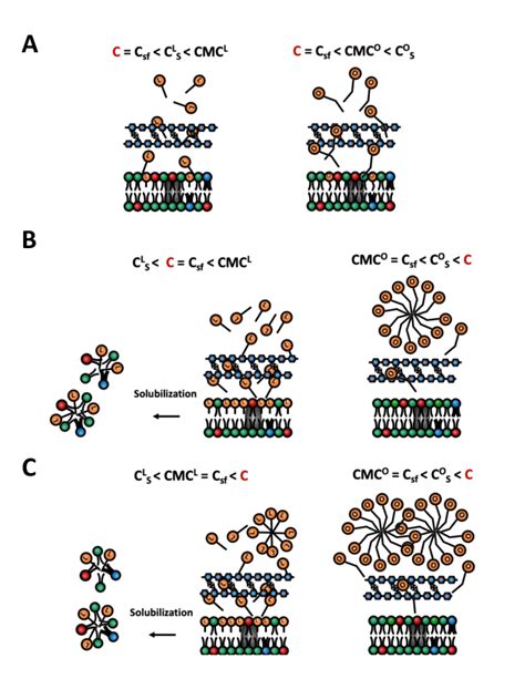Solubilization に対する画像結果