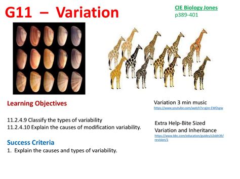 Image result for Different Types of Variation Biology