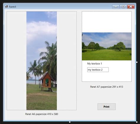 Bitmap Print に対する画像結果