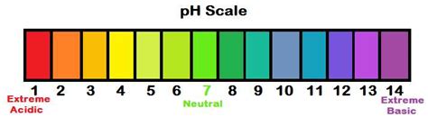 BrainPOP pH Scale Answer Key に対する画像結果