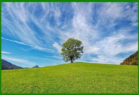 Data Encoding Books ପାଇଁ ପ୍ରତିଛବି ଫଳାଫଳ