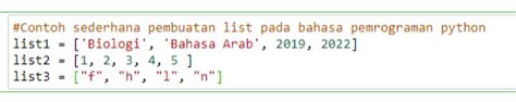 Image result for APA Kegunaan List Pada Python