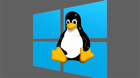 Image result for Windows Y Linux