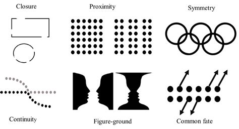 Image result for Examples of Visual Perception in Real Life