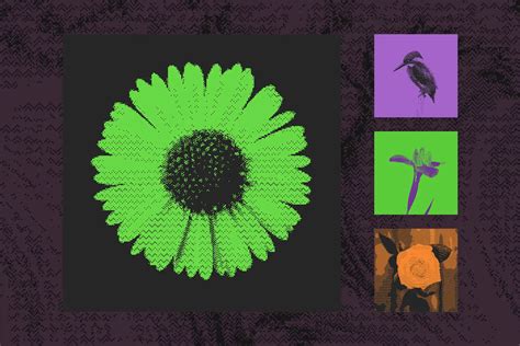 Afbeeldingsresultaten voor How to Download Bitmapper