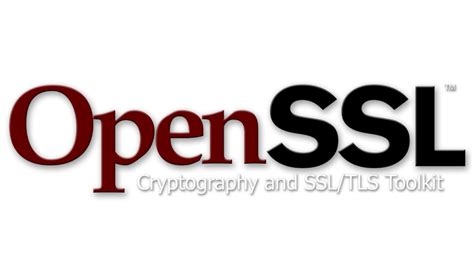 Image result for Open SSL API
