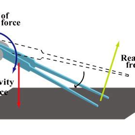 Image result for Passive Joint Massage