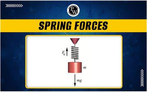 Image result for Spring Physics Real Life