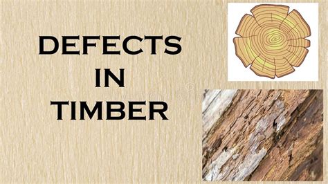 Afbeeldingsresultaten voor Timber Defects