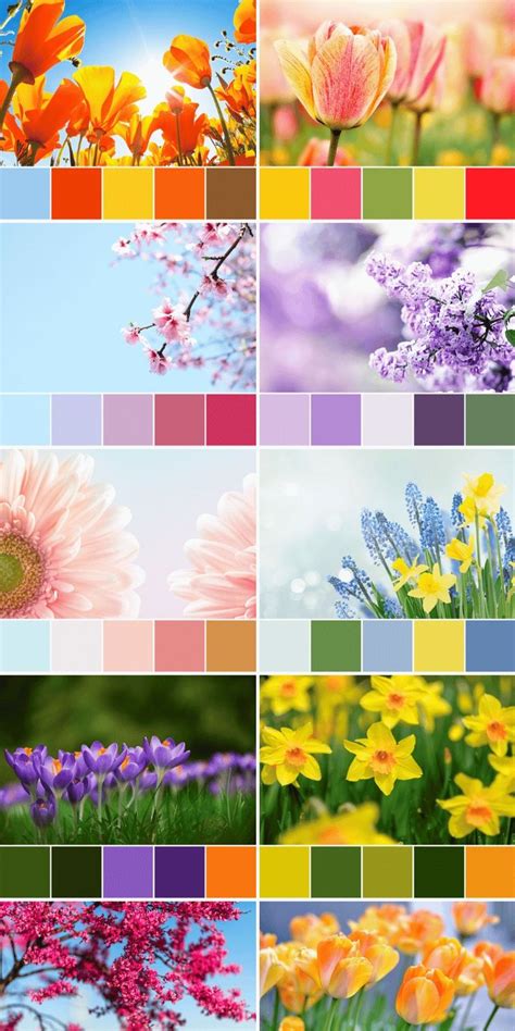 Spring Color Pallets に対する画像結果