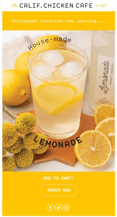 Image result for Great Email Newsletter Examples