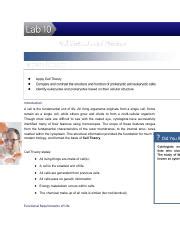 Image result for Lab 10 Cell Structure