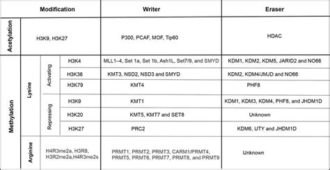 Histone Modification Expression Table に対する画像結果