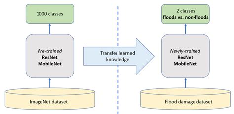 Toradh íomhá ar Transfer Learning in Binary Classification