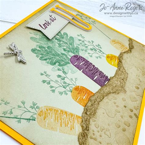 Image result for Card Making Programmes