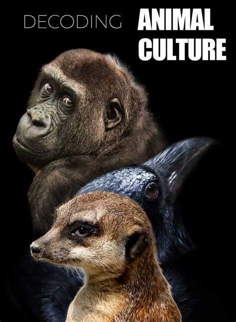 Decoding Animal Picture に対する画像結果