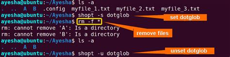 Image result for Command for Remove All Executable Files in Linux