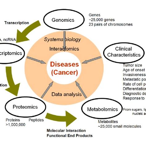 Image result for Genome vs Transcriptome