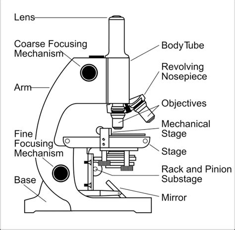 Image result for Blue Print Microscope Simple