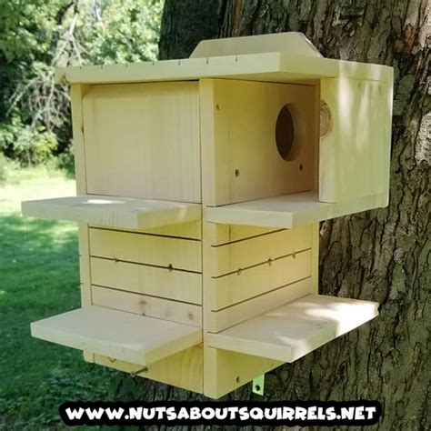 Fox Squirrel Nest Box に対する画像結果