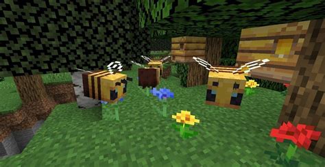 Image result for How to Get Honey Blocks in Minecraft